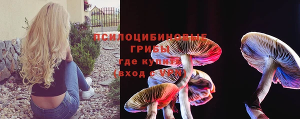 твердый Новокубанск