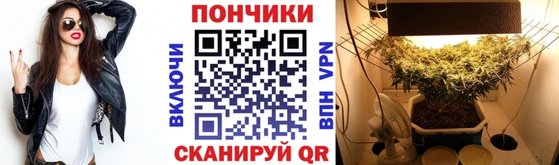 МАРИХУАНА ГИДРОПОН  Моздок 